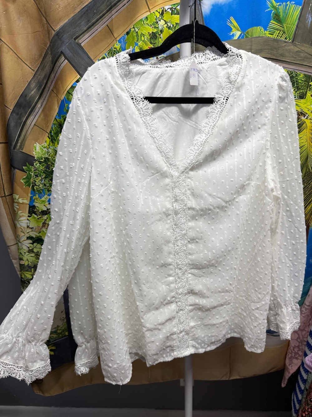 Boutique Women's White Swiss Dot Lace Trim V-Neck Blouse